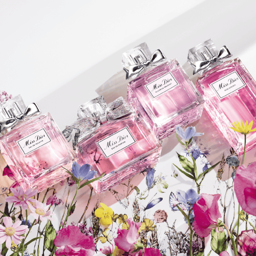 製品レンジ（レディース）